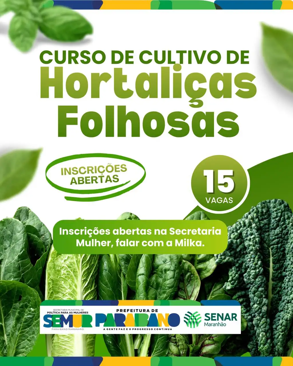 Prefeitura de Paraibano está com inscrições abertas para o Curso de Cultivo de Hortaliças Folhosas.