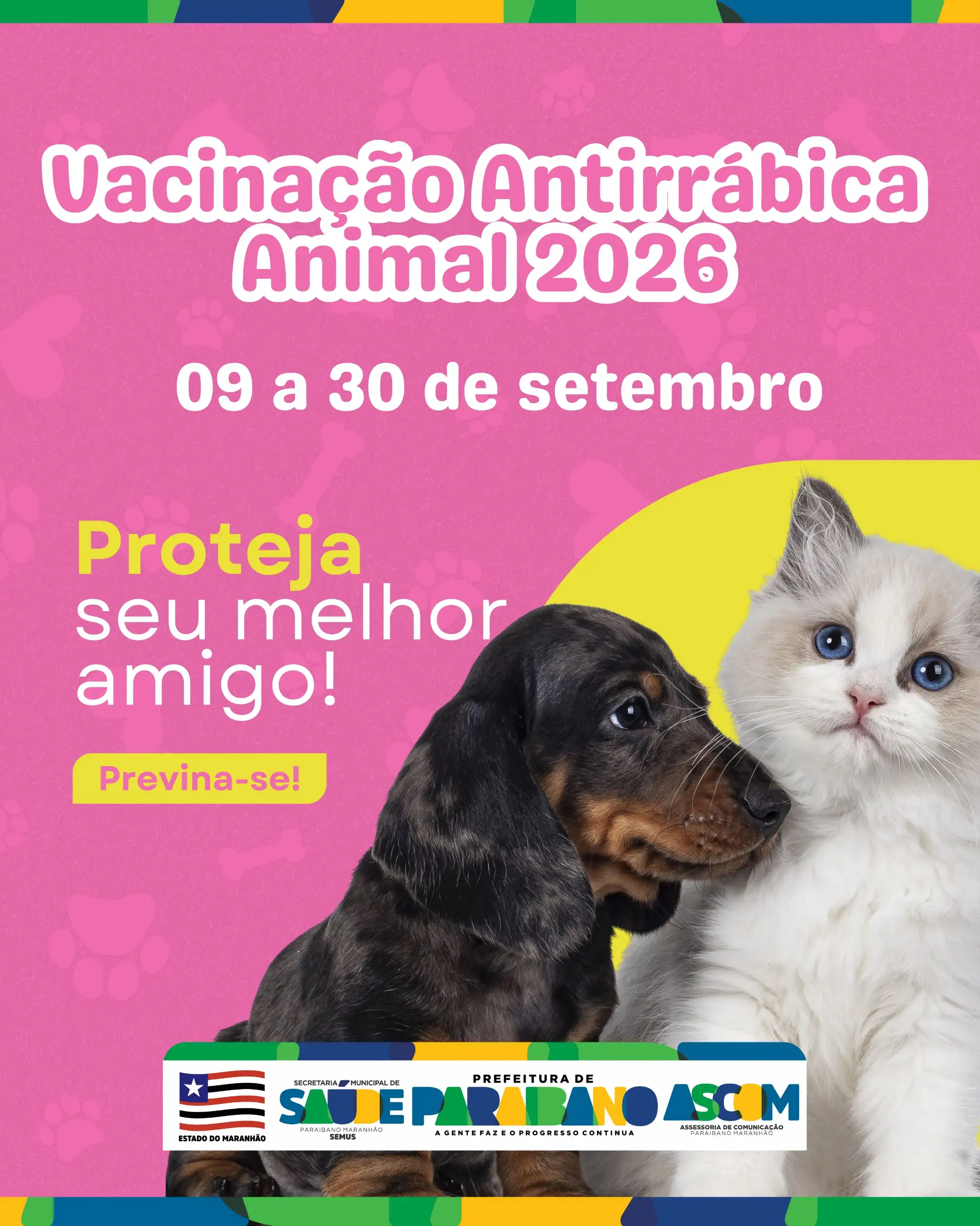 Prefeitura de Paraibano, inicia Campanha de Vacinação Antirrábica 2026.