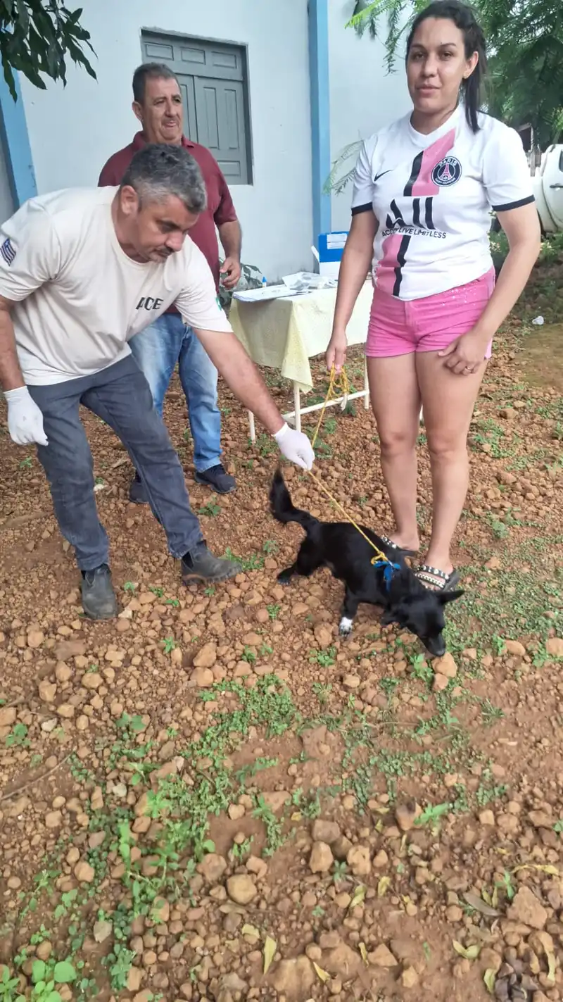 Foto 4 – Secretaria de Saúde de Paraibano, realiza testes de calazar no animais do povoado Varzinha.