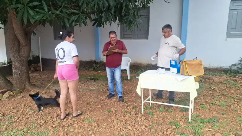 Foto 7 – Secretaria de Saúde de Paraibano, realiza testes de calazar no animais do povoado Varzinha.